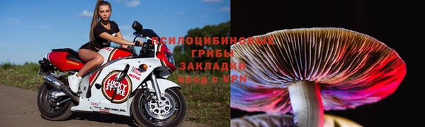 спиды Трёхгорный