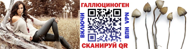 Псилоцибиновые грибы ЛСД  даркнет сайт  Чишмы 