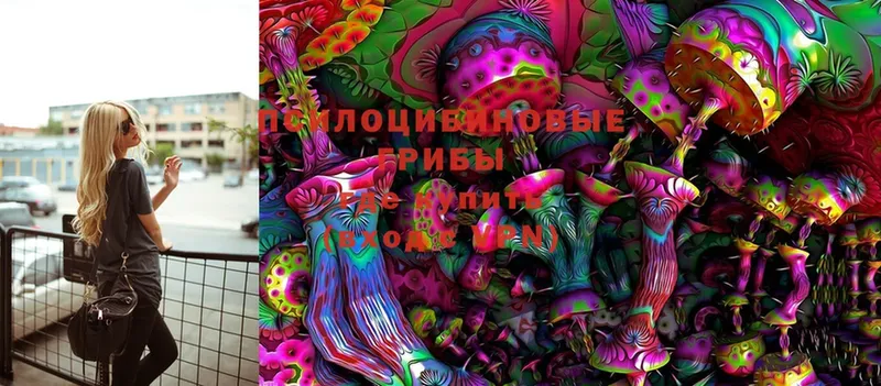 Галлюциногенные грибы Psilocybe Чишмы